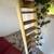 FREE: Pretty Cute Old Shed (Guest Accommodation?) 6 thumbnail