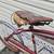 1954 Columbia Five Star Superb Bicycle 4 thumbnail