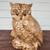 Vintage Ceramic Owl 1 thumbnail