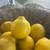 Lemon 1 thumbnail
