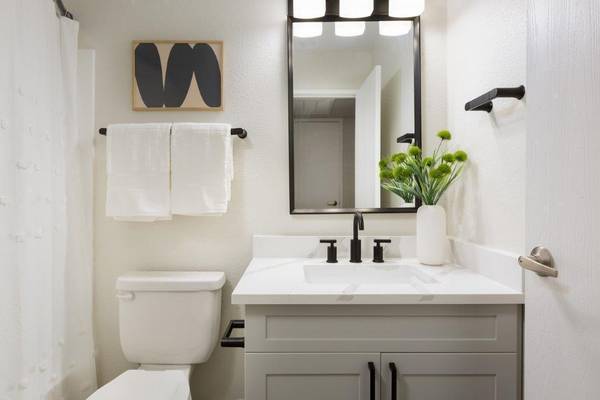 $1,319 / 1br - 720ft2 - Designer Finishes, Dog Park, Large Bedrooms, Newly Renovated (North Phoenix)64024993636867123