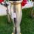 Thomas W. Morgan Inc. TM-31 22K Gold Monte Carlo Pineapple Floor Lamp 14 thumbnail