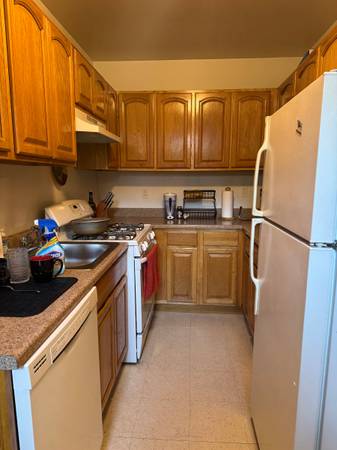 $2,539 / 2br - 1000ft2 - Fully Furnished 2 Bedroom in the Heart of Astoria (Oct - Nov) (Astoria)63788738275075122