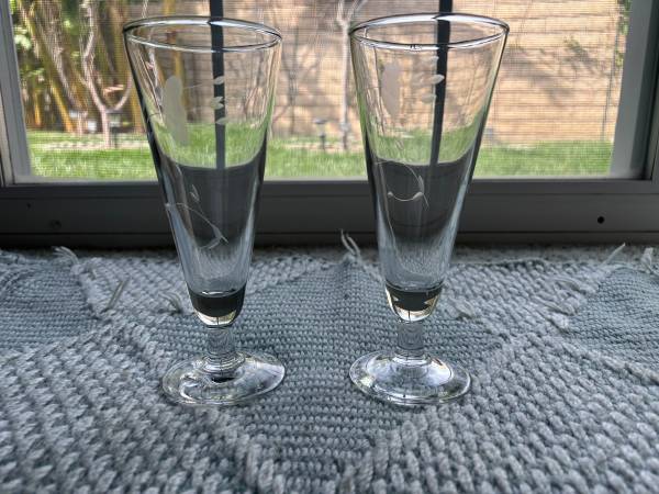Princess House Pilsner Glasses 1