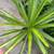 Plants 3 thumbnail