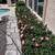 VEGAS YARD CLEAN UPS, LANDSCAPING, TREE TRIMMING, PALM TREES TRIM 2 thumbnail