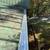 Leaf removal, roof/gutter cleaning and gutter guard installation 6 thumbnail