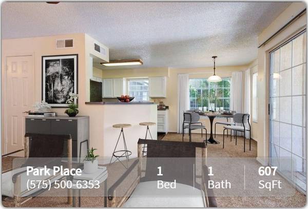 $1,010 / 1br - 607ft2 - X marks the spot! You've just found a gorgeous 1 bed / 1 bath! (Las Cruces - Near NMSU)63861850770177121