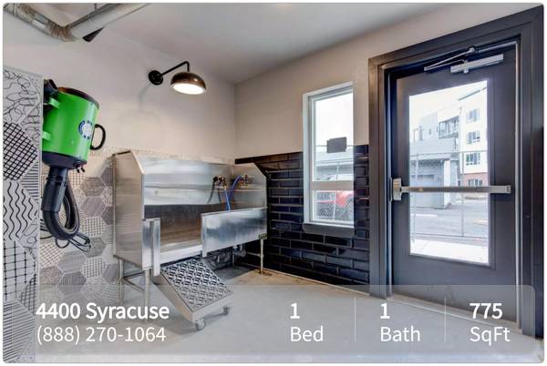 Pet paradise! 1 Bed/1 Bath perfect for furry companions. 1