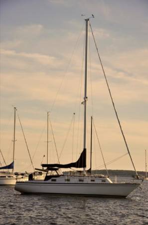 32' Hunter 1981 sailboat 1