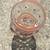 Beautiful Cabana 9” Hand Painted Glass Carafe Island of Murano m 5 thumbnail