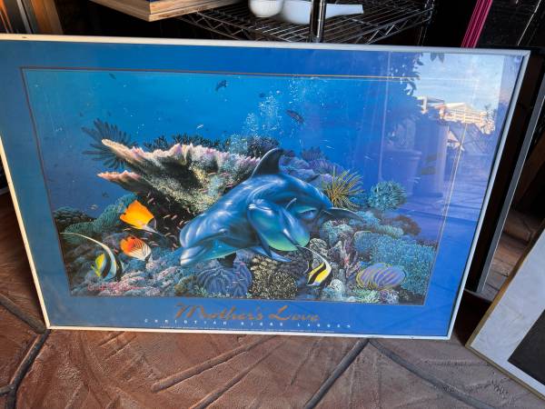 Dolphine Mothers Love picture 1