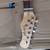Stagg fender standard 3 thumbnail