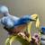 Bluebird Figurine By Andrea- Sadek Made in Japan 17 thumbnail