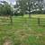 Fencing 3 thumbnail