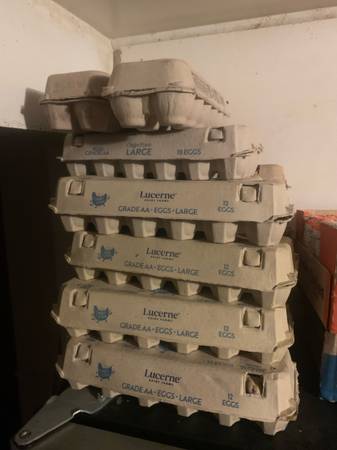 Empty egg cartons 1