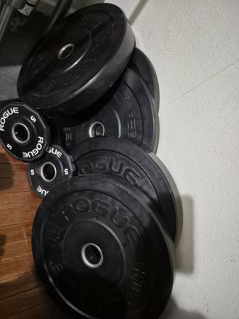 Rogue bumper weights 1