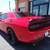 2016 Dodge Challenger - Financing Available! 7 thumbnail