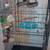 Bird cage with accessories 2 thumbnail