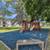 Let Living at Right Place 10 thumbnail