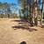 MULCHING, DEBRIS REMOVAL, BUSH HOGGING AND LAND CLEARING 13 thumbnail