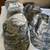 BERNARD CAP COMPANY AIR FORCE UTILITY CAP 2 thumbnail