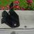 NOS Corvette Steering Shock Absorber and Brackets 5 thumbnail