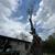 Need a tree trimmer? Low cost tree services 11 thumbnail