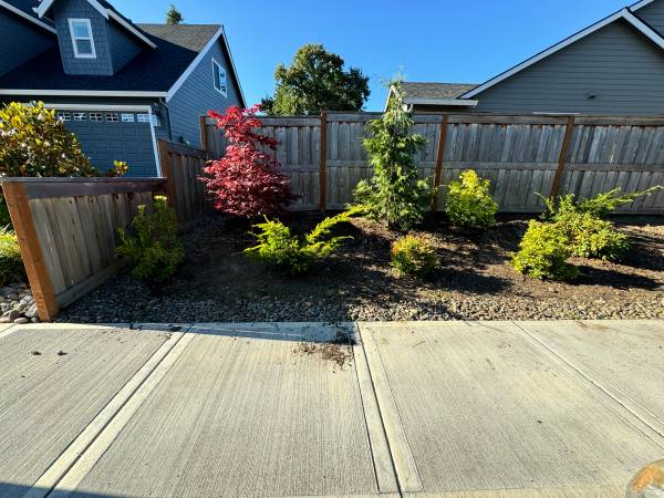Junk haul and weeds removal (Vancouver)63958289376771124