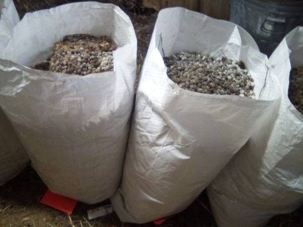 Garden Gold - Rabbit Manure for Gardens 1