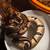 Ball Python 4 thumbnail