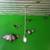 One of a kind! Metal BAT ART! HALLOWEEN year round home decor 1 thumbnail