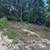 Prime Location Near Dunns Creek & St. John's River - 10k Square Ft Lot 1 thumbnail