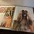 Giant Book of DOGS 12 thumbnail