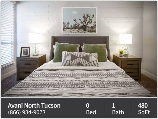 $699 / 480ft2 - Los sueños encuentran su hogar aquí: ¡Reserva nuestro codiciado estudio ahora! (Tucson)63675133482881122