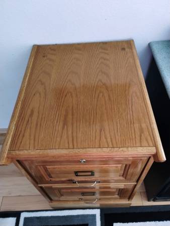 Oak File Cabinet - $10 (Renton)63471460612225121