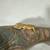 Crested gecko 5 thumbnail