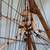 Vintage Flying Cloud Clipper Ship  6' long 4 1/2' tall, case & table 19 thumbnail
