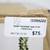 *New* Project 62 Propane Tabletop Terrazzo Fireplace 5 thumbnail
