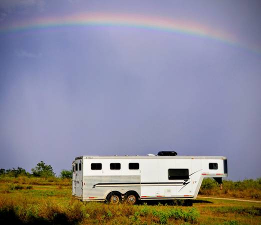 2002 Exiss 3Horse Slant Horse Trailer 1