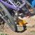 FOUND KITTEN 1 thumbnail