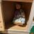Melissa & Doug Wooden Doorbell House, keys and dolls, like new 3 thumbnail