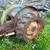 Ford 2000 farm tractor, runs good 4 thumbnail