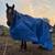 3 YO Gelding 6 thumbnail