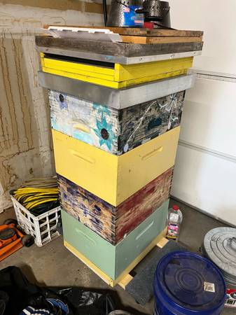 2 x honeybee hives (with stands, frames, supers, top feeders) 1