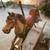Carousel Rocking Horse 3 thumbnail