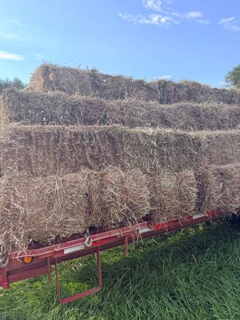 Square Bales 1