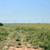 320± Acres Grass Pasture, Cropland, Ponds & More! 6 thumbnail