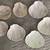 Shell shaped small plates handmade glass - Catering or soap dish 2 thumbnail