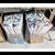 Collectables 15 thumbnail